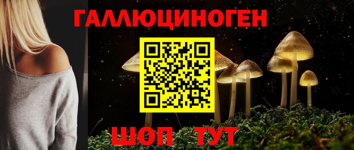 Галлюциногенные грибы Psilocybe  Вход с VPN  Алексеевка 